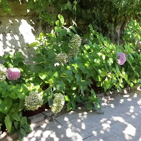 Villa Casa Irene *