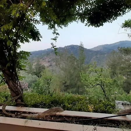 Villa Irene Kakopetria