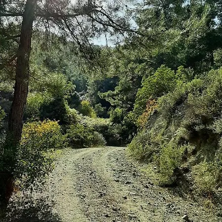 Villa Irene Kakopetria